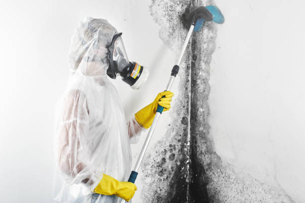 Best Mold-Related Health Consultation  in Tillamook, OR