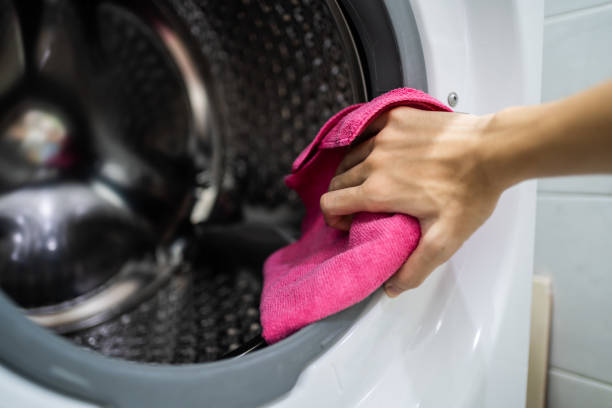 Professional Mold Removal in Tillamook, OR