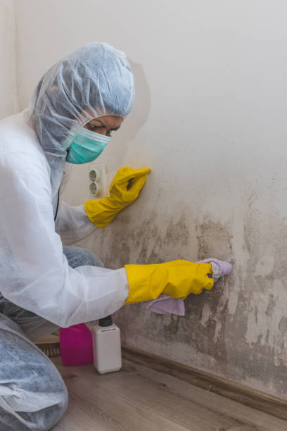Best Airborne Mold Testing  in Tillamook, OR