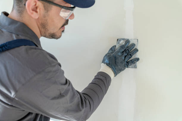 Best Environmental Consulting for Mold Prevention  in Tillamook, OR