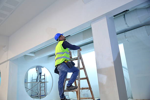 Best Attic Mold Removal  in Tillamook, OR
