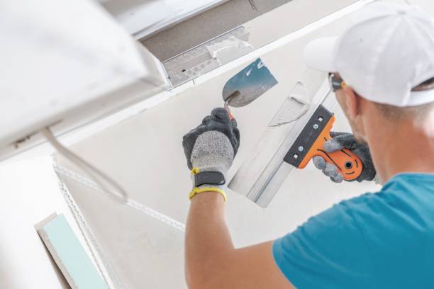 Best Water Damage & Mold Remediation  in Tillamook, OR